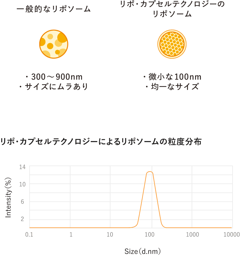 일본의 고품질 리포좀 이미지 비타민 C의 크기와 흡수율의 그림